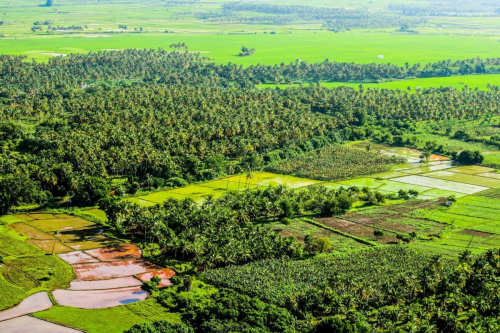 Negara Beri Tiga Kali Peringatan Sebelum Mengambil Alih Tanah Terlantar | KF Map – Digital Map for Property and Infrastructure in Indonesia