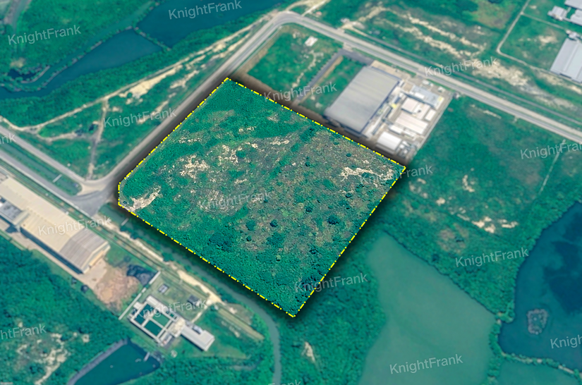 Knight Frank | Prime Industrial Land in JIIPE Gresik SEZ (Special Economic Zone) | JIIPE Gresik SEZ