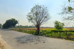 Knight Frank | Strategic Industrial Land in Taman, Sidoarjo | Near Surabaya & Juanda Airport | Taman, Sidoarjo (thumbnail)