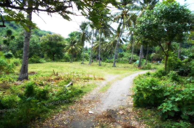 Knight Frank | Resort Land For Sale | Nipah Beach
