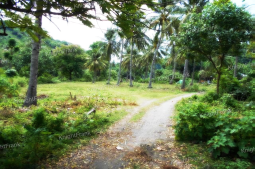 Knight Frank | Resort Land For Sale | Nipah Beach (thumbnail)
