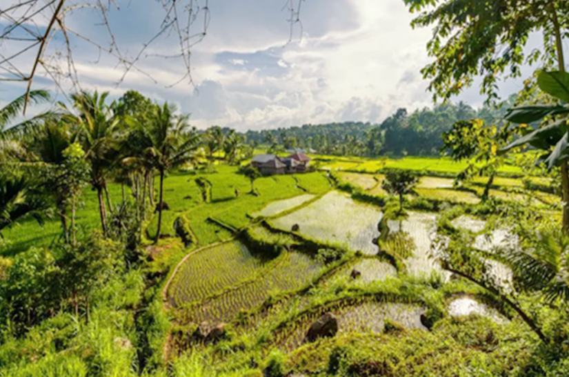 Knight Frank | Resort Land For Sale | Senaru Village