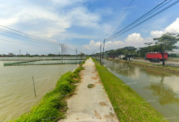 Knight Frank | Prime Land in Pantura for Industrial Use | Sayung Demak (thumbnail)
