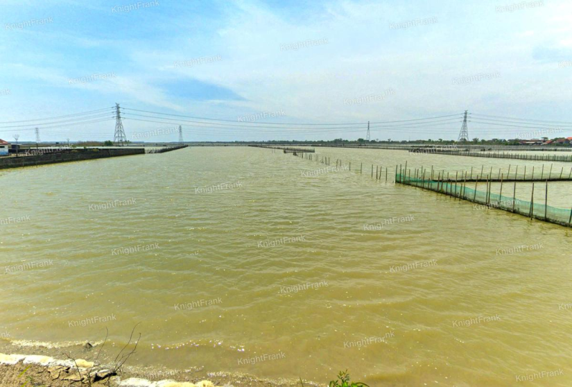 Knight Frank | Prime Land in Pantura for Industrial Use | Sayung Demak