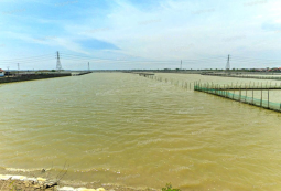 Knight Frank | Prime Land in Pantura for Industrial Use | Sayung Demak (thumbnail)