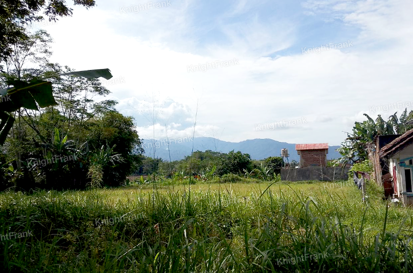 Knight Frank | Strategic Land Investment with Long Term Potential | Tasikmalaya
