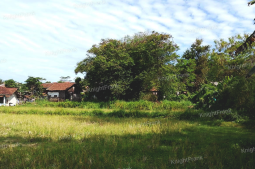 Knight Frank | Strategic Land Investment with Long Term Potential | Tasikmalaya (thumbnail)
