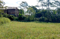 Knight Frank | Strategic Land Investment with Long Term Potential | Tasikmalaya (thumbnail)