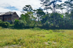 Knight Frank | Strategic Land Investment with Long Term Potential | Tasikmalaya (thumbnail)