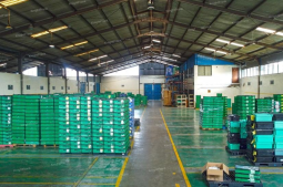 Knight Frank | Move-in Ready Factory in Lippo Cikarang | Lippo Cikarang (thumbnail)