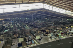 Knight Frank | Ready to Use Factory in Sukabumi for Sale | Factory in Sukabumi (thumbnail)