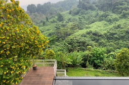 Knight Frank | Ella House, Sentul City | Ella House, Sentul City (thumbnail)