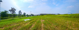 Knight Frank | Valuable Opportunity : Ready-to-Develop Industrial Land in Karawang | Industrial Land in Karawang (thumbnail)