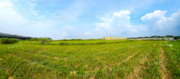 Knight Frank | Valuable Opportunity : Ready-to-Develop Industrial Land in Karawang | Industrial Land in Karawang (thumbnail)
