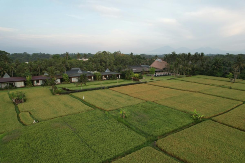 Perhatikan Hal Berikut Sebelum Jual Beli Tanah Warisan! | KF Map – Digital Map for Property and Infrastructure in Indonesia