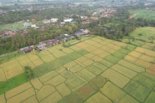 Begini Cara Pengajuan Pembebasan LSD | KF Map – Digital Map for Property and Infrastructure in Indonesia