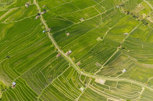 Catat! Enam Surat Tanah Lama Tidak Berlaku Mulai Februari 2026 | KF Map – Digital Map for Property and Infrastructure in Indonesia