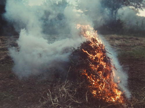 Tuntutan Pidana Bakar Sampah Sembarangan | KF Map – Digital Map for Property and Infrastructure in Indonesia