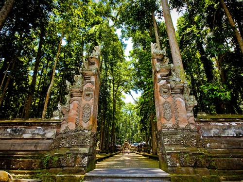 Sacred Monkey Forest Sanctuary, Entertainment | We provide Indonesia infrastructure map on various property sectors and data. Access property listings, infrastructure developments, news, and valuable transaction data for informed decisions.