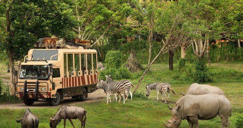 Bali Safari and Marine Park, Entertainment | We provide Indonesia infrastructure map on various property sectors and data. Access property listings, infrastructure developments, news, and valuable transaction data for informed decisions.