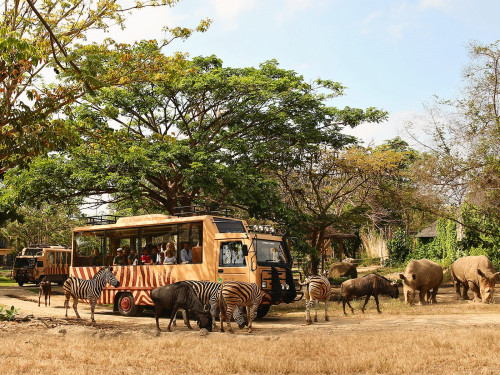 Bali Safari and Marine Park, Entertainment | We provide Indonesia infrastructure map on various property sectors and data. Access property listings, infrastructure developments, news, and valuable transaction data for informed decisions.
