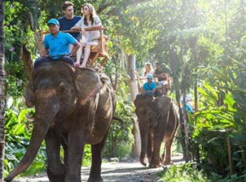 Bali Zoo, Entertainment | We provide Indonesia infrastructure map on various property sectors and data. Access property listings, infrastructure developments, news, and valuable transaction data for informed decisions.