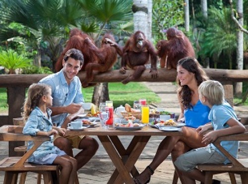 Bali Zoo, Entertainment | We provide Indonesia infrastructure map on various property sectors and data. Access property listings, infrastructure developments, news, and valuable transaction data for informed decisions.