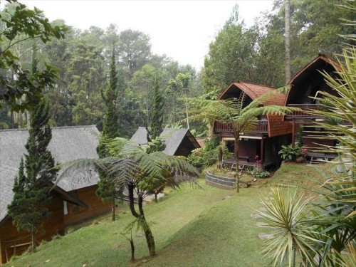 Completed hotel, Perhutani | We provide Indonesia infrastructure map on various property sectors and data. Access property listings, infrastructure developments, news, and valuable transaction data for informed decisions.