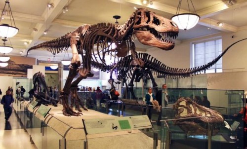 Bogor Zoology Museum, Entertainment | We provide Indonesia infrastructure map on various property sectors and data. Access property listings, infrastructure developments, news, and valuable transaction data for informed decisions.