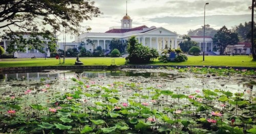 Bogor Botanical Garden, Landmark | We provide Indonesia infrastructure map on various property sectors and data. Access property listings, infrastructure developments, news, and valuable transaction data for informed decisions.