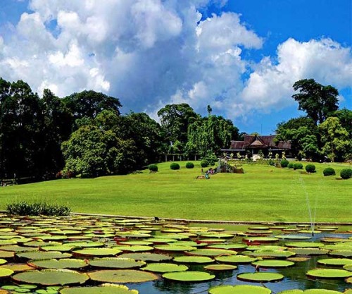 Bogor Botanical Garden, Landmark | We provide Indonesia infrastructure map on various property sectors and data. Access property listings, infrastructure developments, news, and valuable transaction data for informed decisions.