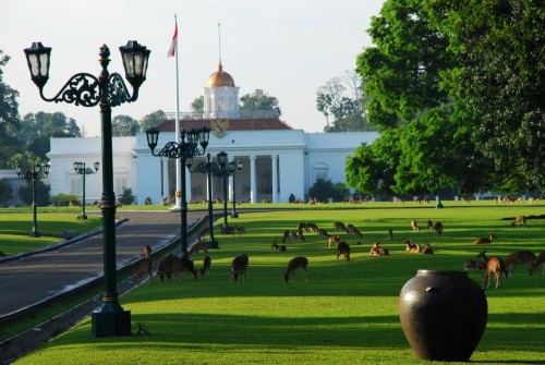 Bogor Botanical Garden, Landmark | We provide Indonesia infrastructure map on various property sectors and data. Access property listings, infrastructure developments, news, and valuable transaction data for informed decisions.