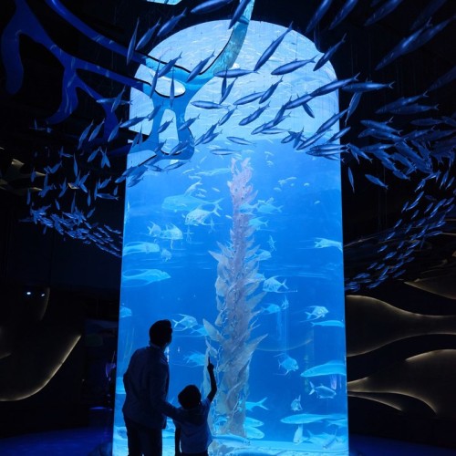 Jakarta Aquarium, Entertainment | We provide Indonesia infrastructure map on various property sectors and data. Access property listings, infrastructure developments, news, and valuable transaction data for informed decisions.