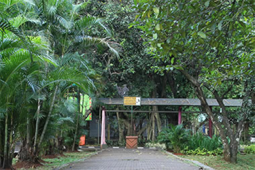 Ragunan Zoo, Entertainment | We provide Indonesia infrastructure map on various property sectors and data. Access property listings, infrastructure developments, news, and valuable transaction data for informed decisions.