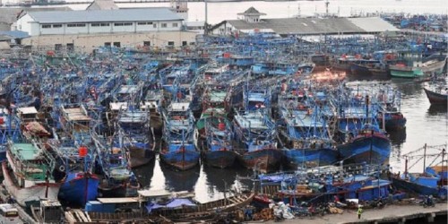 Port of Muara Angke, Seaport, Pelayaran Nasional Indonesia | We provide Indonesia infrastructure map on various property sectors and data. Access property listings, infrastructure developments, news, and valuable transaction data for informed decisions.
