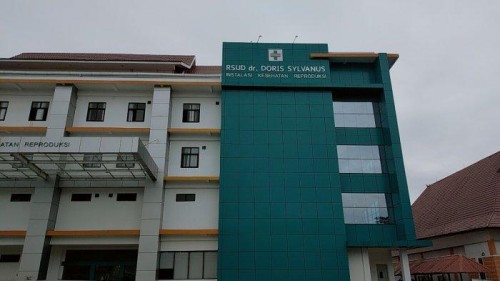 Dr. Doris Sylvanus Regional Public Hospital, Hospital | We provide Indonesia infrastructure map on various property sectors and data. Access property listings, infrastructure developments, news, and valuable transaction data for informed decisions.