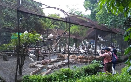 Surabaya Zoo, Entertainment | We provide Indonesia infrastructure map on various property sectors and data. Access property listings, infrastructure developments, news, and valuable transaction data for informed decisions.