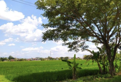 Solo Raya Tourism Polytechnic, University | We provide Indonesia infrastructure map on various property sectors and data. Access property listings, infrastructure developments, news, and valuable transaction data for informed decisions.