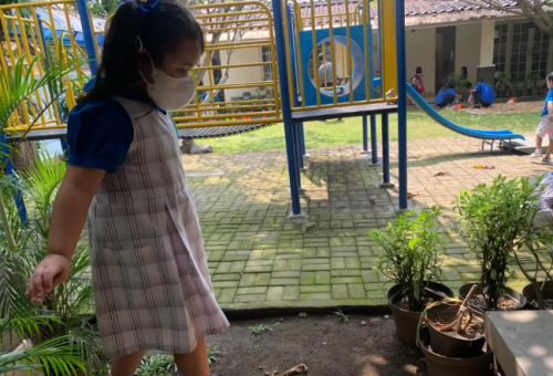 Focus Independent Kindergarten, Private School | We provide Indonesia infrastructure map on various property sectors and data. Access property listings, infrastructure developments, news, and valuable transaction data for informed decisions.
