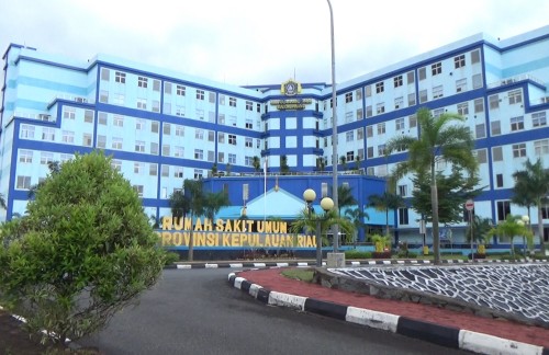 Raja Ahmad Tabib Regional Public Hospital, Hospital | We provide Indonesia infrastructure map on various property sectors and data. Access property listings, infrastructure developments, news, and valuable transaction data for informed decisions.