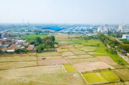 Knight Frank | Industrial Land in Raya Gorda, Serang, Banten | Photo 2 (thumbnail)