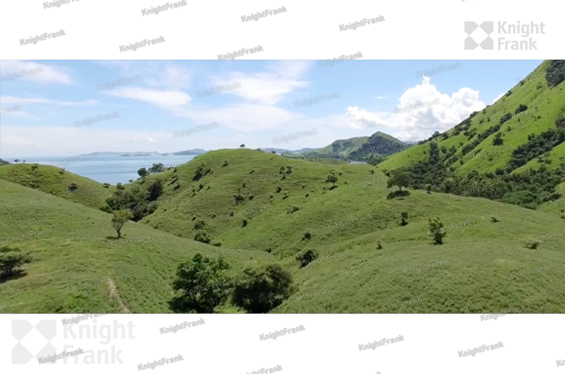 Knight Frank | Waterfront Land for Sale in Labuan Bajo | Waterfront Land for Sale in Labuan Bajo 5