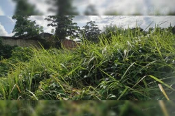 Knight Frank | Lahan Komersil di Kartini, Depok | Photo (thumbnail)