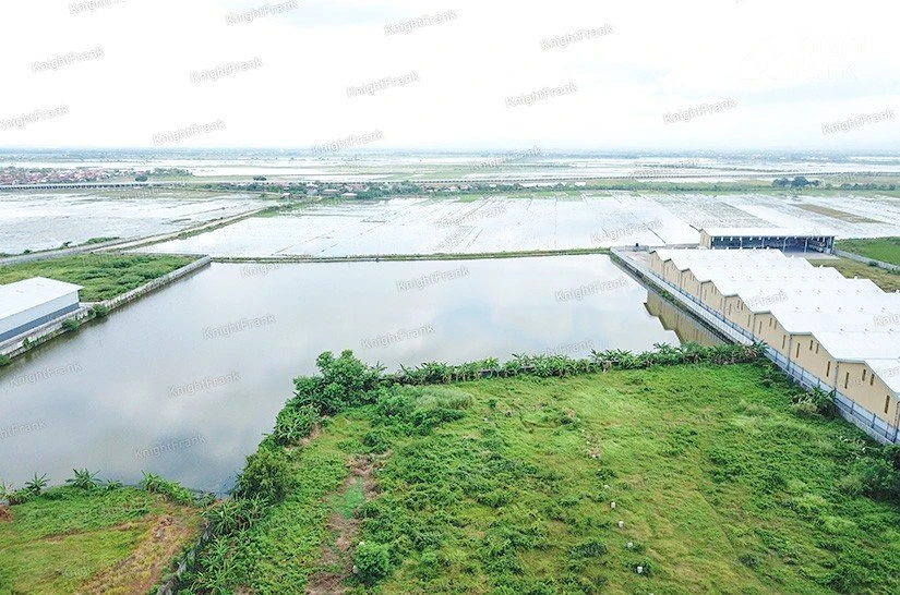 Knight Frank | Vacant Land in Karang Tengah, Demak | Photo