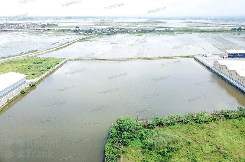 Knight Frank | Vacant Land in Karang Tengah, Demak | Photo